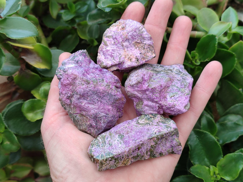 Natural Stichtite Cobbed Specimens x 35 From Barberton, South Africa