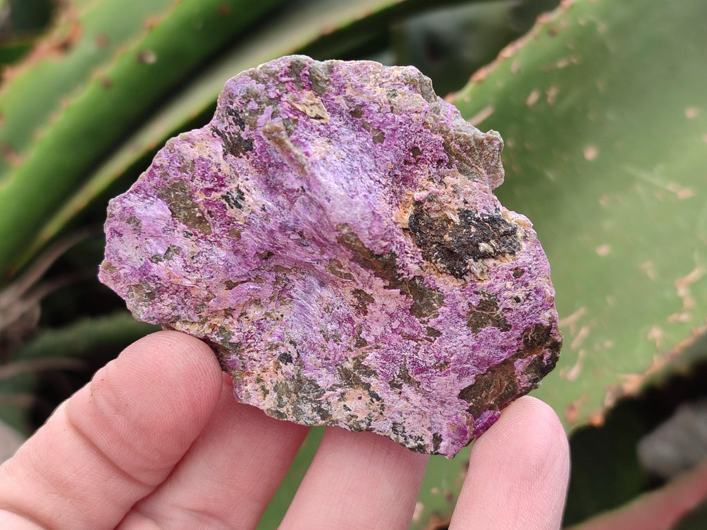 Natural Stichtite Cobbed Specimens x 35 From Barberton, South Africa