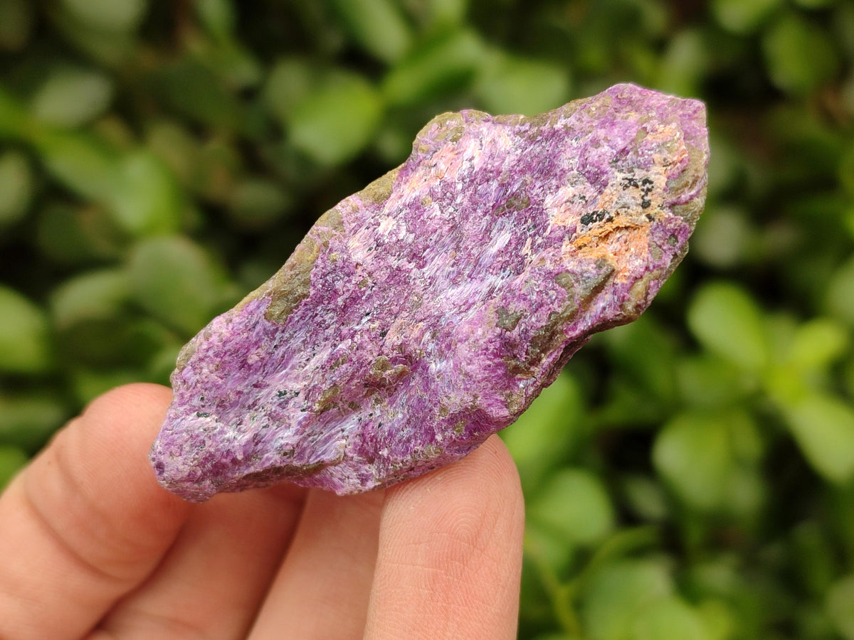 Natural Stichtite Cobbed Specimens x 35 From Barberton, South Africa