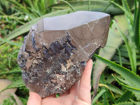 Polished Smokey Quartz Crystal x 1 From Zomba, Malawi