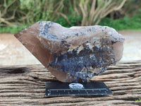 Polished Smokey Quartz Crystal x 1 From Zomba, Malawi