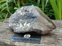 Polished Smokey Quartz Crystal x 1 From Zomba, Malawi