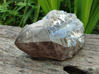 Polished Smokey Quartz Crystal x 1 From Zomba, Malawi