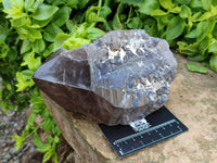 Polished Smokey Quartz Crystal x 1 From Zomba, Malawi
