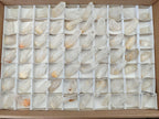 Natural Small Clear Quartz Crystals x 70 From Madagascar