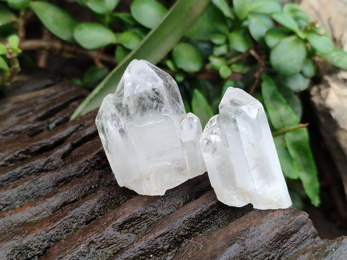 Natural Small Clear Quartz Crystals x 70 From Madagascar
