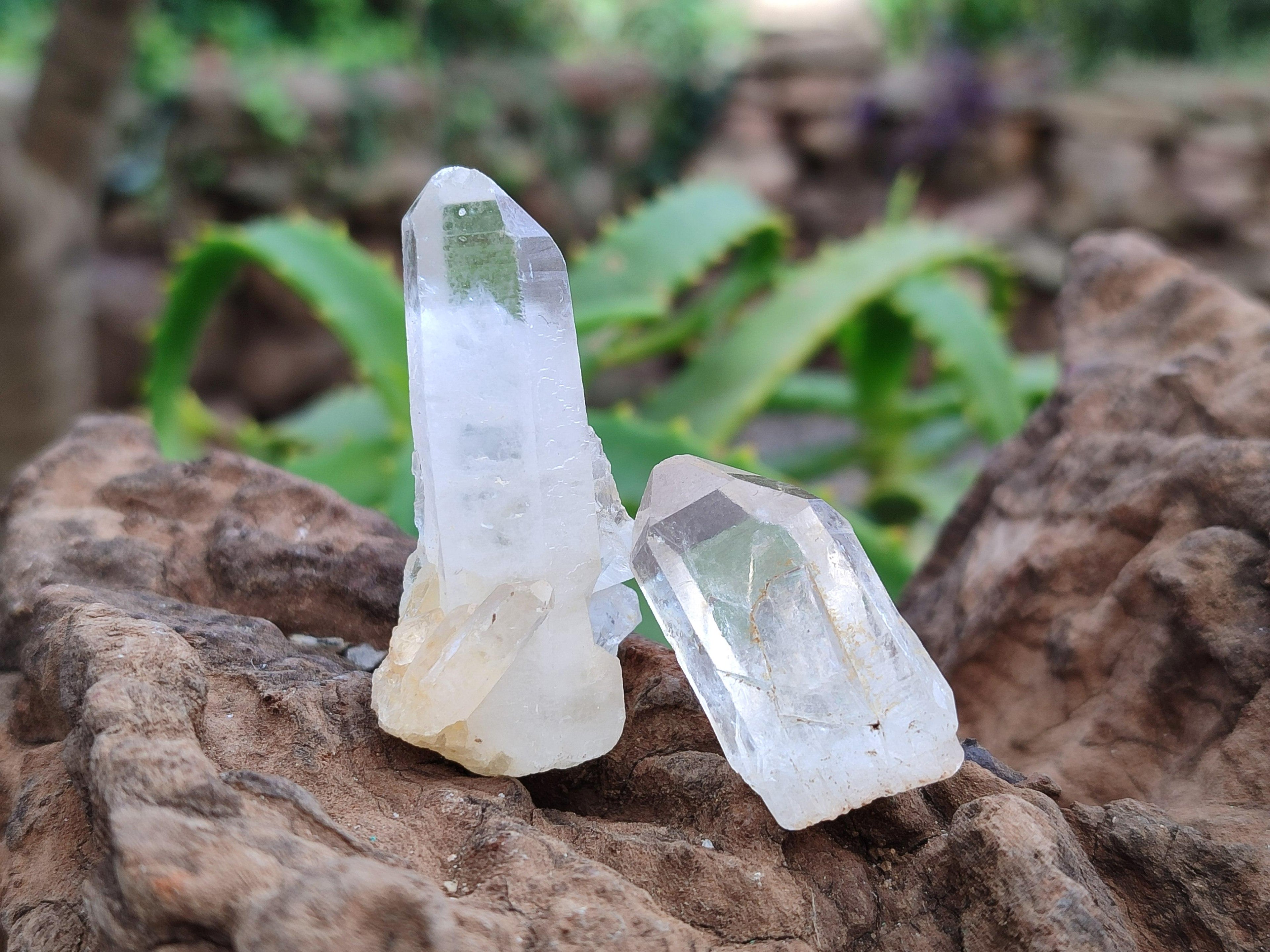 Natural Small Clear Quartz Crystals x 70 From Madagascar