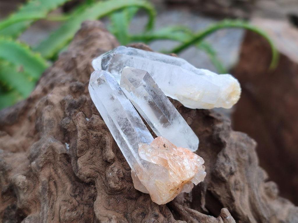 Natural Small Clear Quartz Crystals x 70 From Madagascar