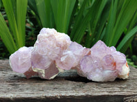 Natural Sunburst Amethyst Spirit Clusters x 6 From Boekenhouthoek, South Africa