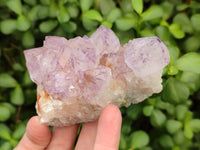 Natural Sunburst Amethyst Spirit Clusters x 6 From Boekenhouthoek, South Africa