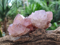 Natural Sunburst Amethyst Spirit Clusters x 6 From Boekenhouthoek, South Africa