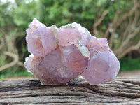 Natural Sunburst Amethyst Spirit Clusters x 6 From Boekenhouthoek, South Africa