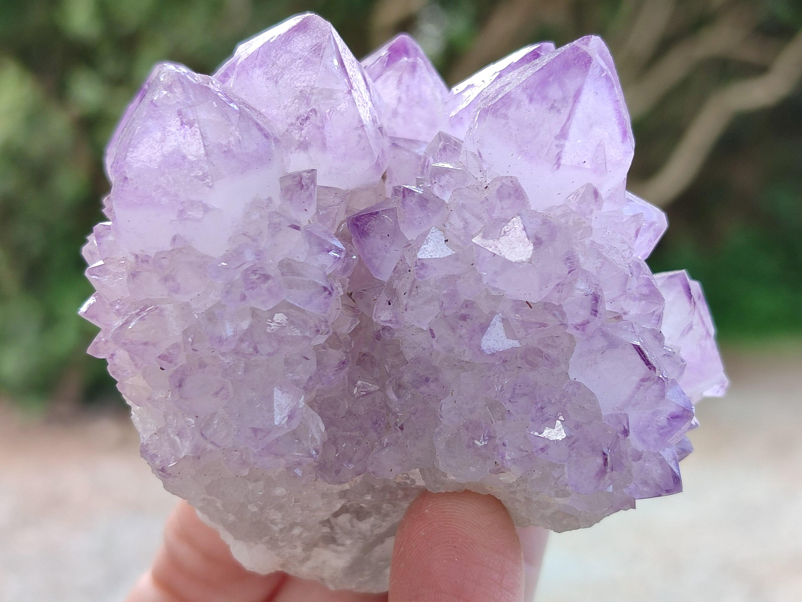 Sunburst Rocks Natural Sunburst Amethyst Spirit Clusters x 6 From Boekenhouthoek, Sou ...