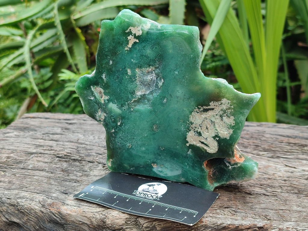 Polished On One Side Mtorolite Plates x 4 From Mutorashanga, Zimbabwe