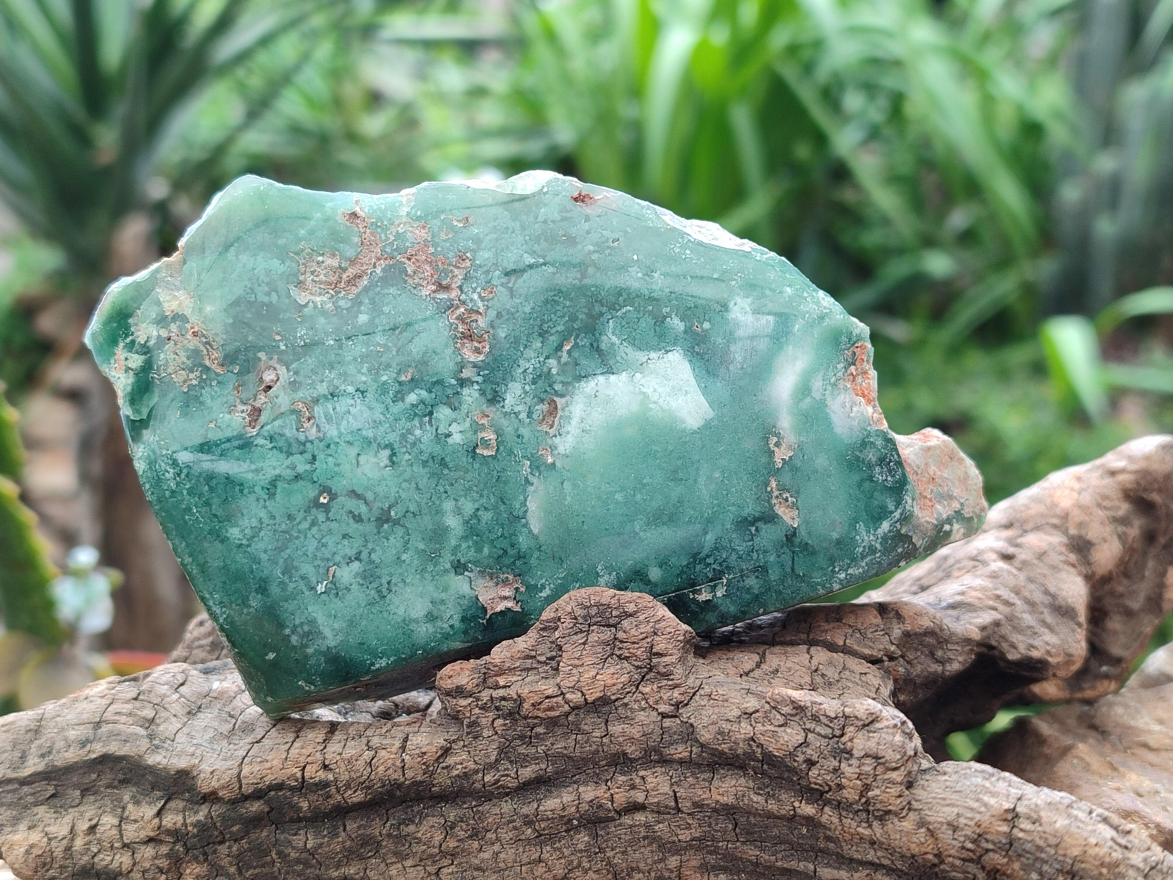 Polished On One Side Mtorolite Plates x 4 From Mutorashanga, Zimbabwe