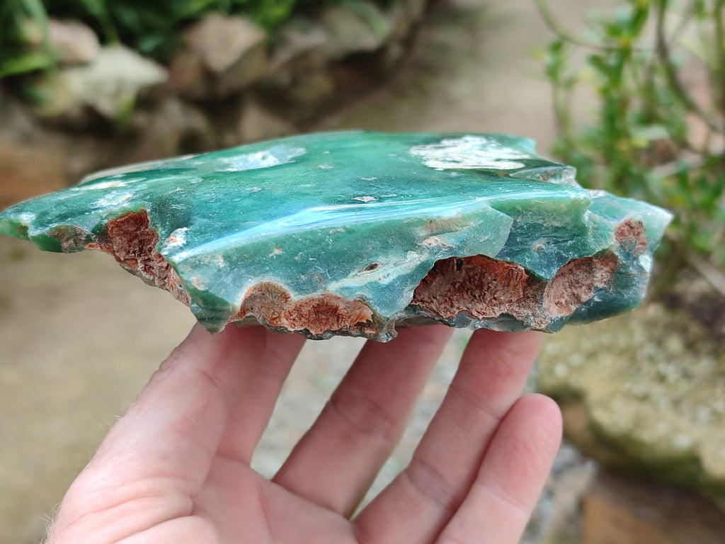 Polished On One Side Mtorolite Plates x 4 From Mutorashanga, Zimbabwe