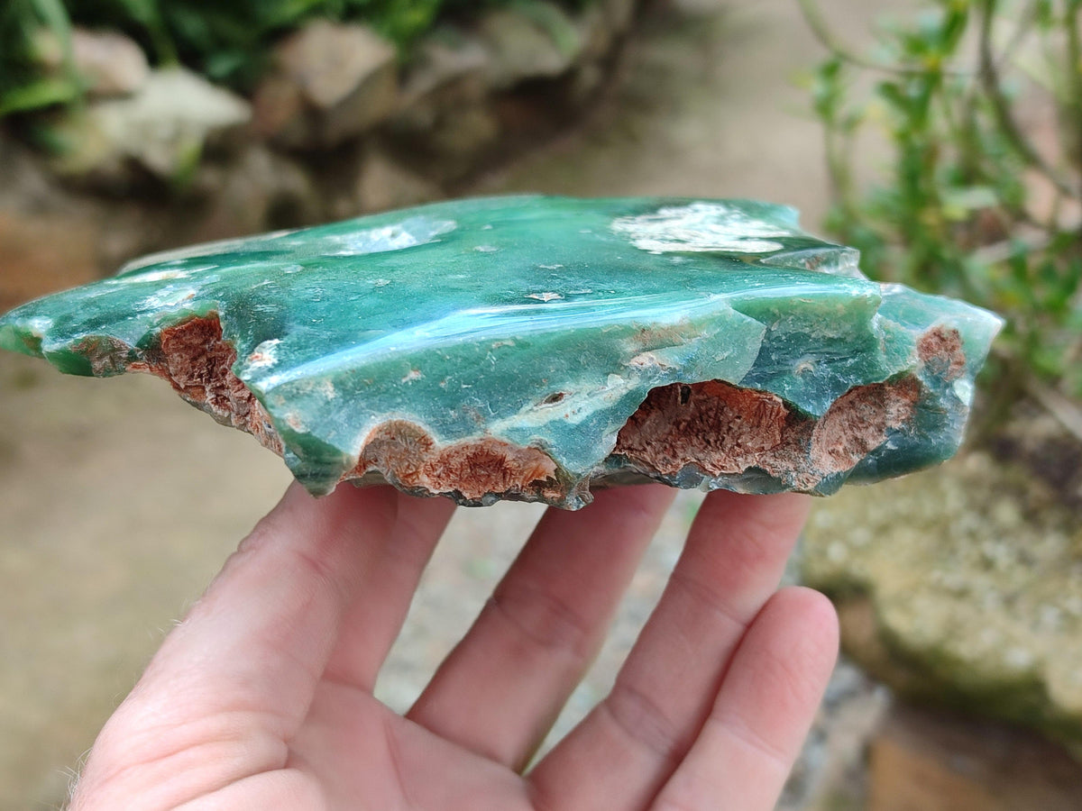 Polished On One Side Mtorolite Plates x 4 From Mutorashanga, Zimbabwe