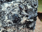 Natural Schorl Black Tourmaline With Hyalite And Mica x 1 From Erongo, Namibia