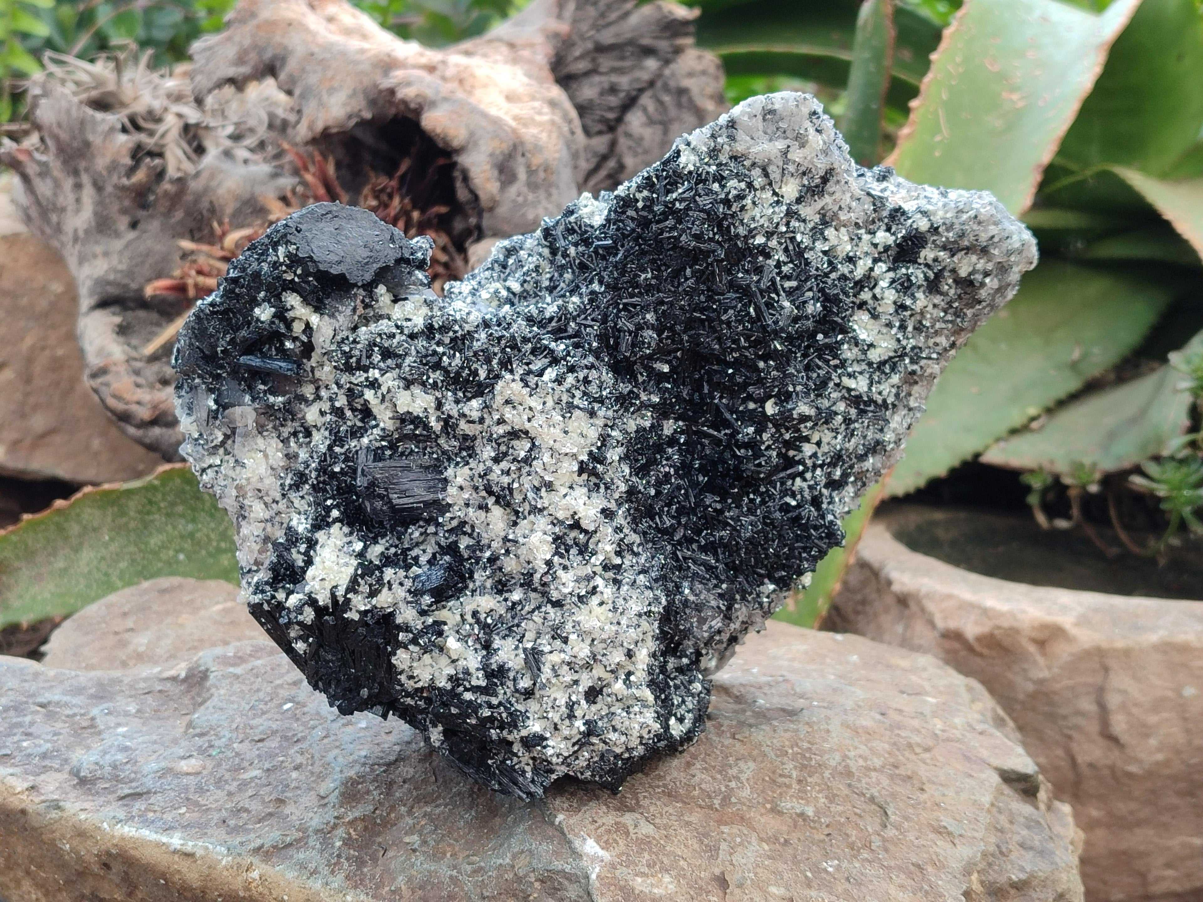Natural Schorl Black Tourmaline With Hyalite And Mica x 1 From Erongo, Namibia