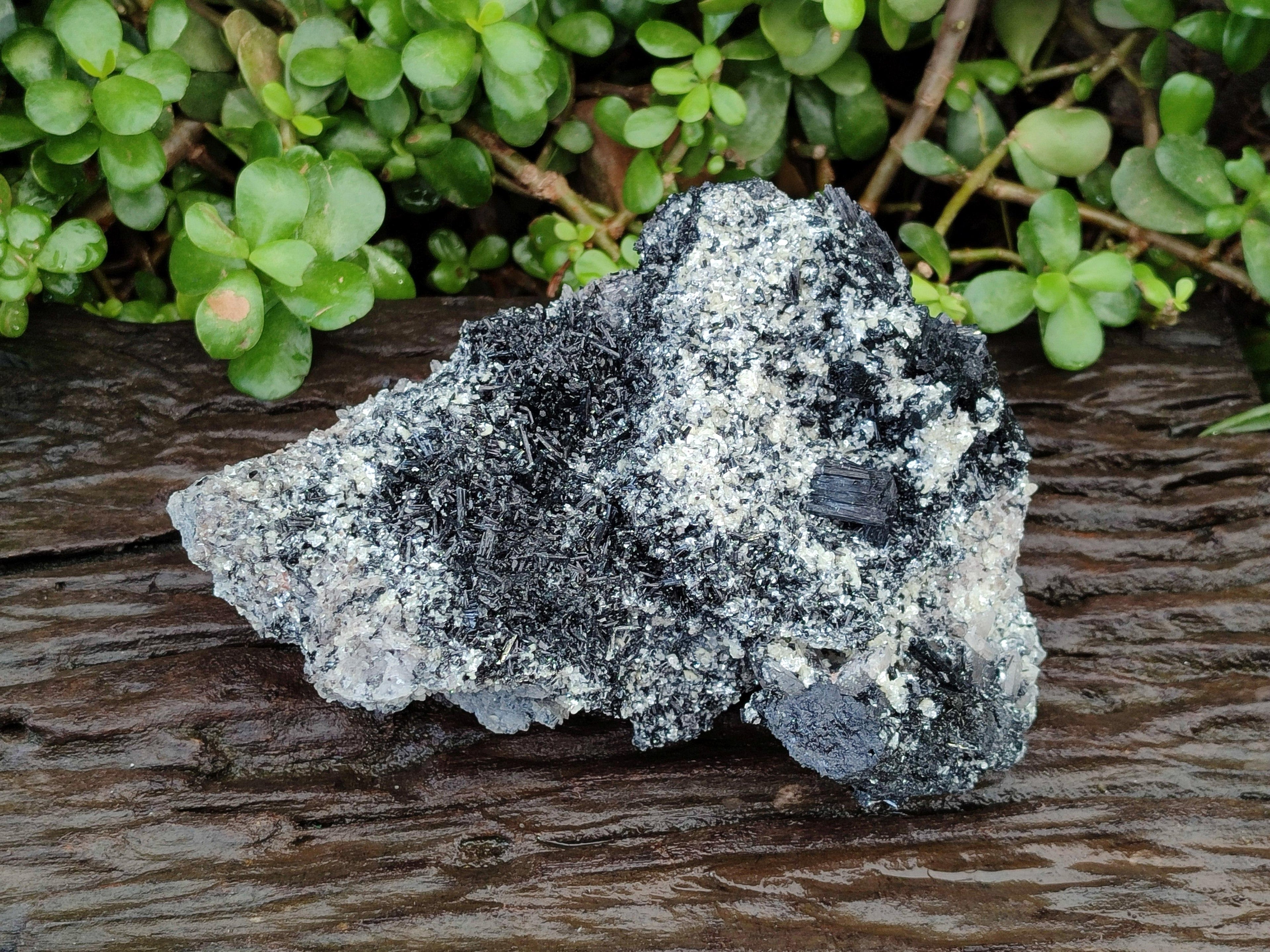 Natural Schorl Black Tourmaline With Hyalite And Mica x 1 From Erongo, Namibia