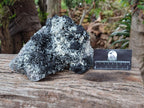 Natural Schorl Black Tourmaline With Hyalite And Mica x 1 From Erongo, Namibia