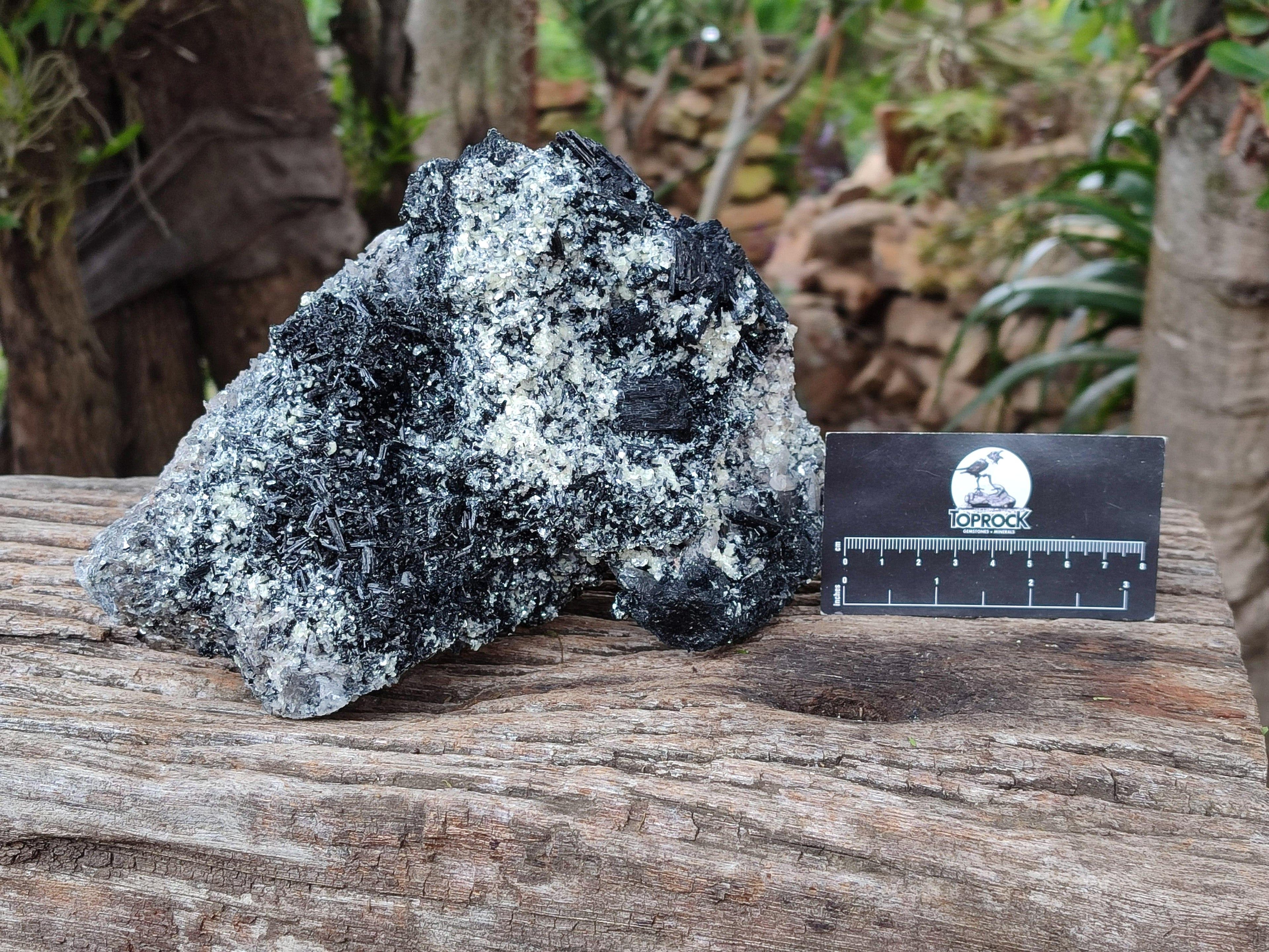 Natural Schorl Black Tourmaline With Hyalite And Mica x 1 From Erongo, Namibia