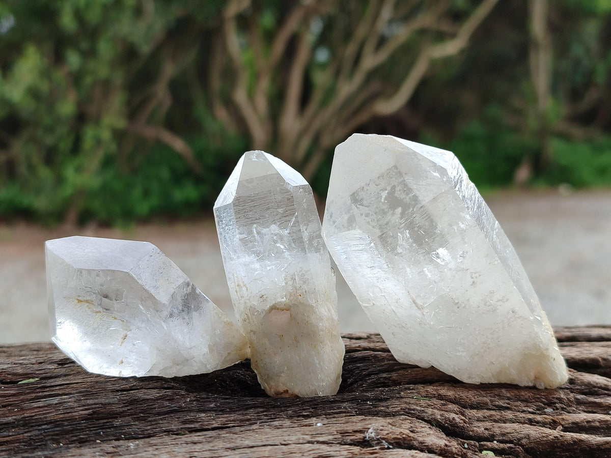Natural Clear Quartz Crystals x 16 From Madagascar