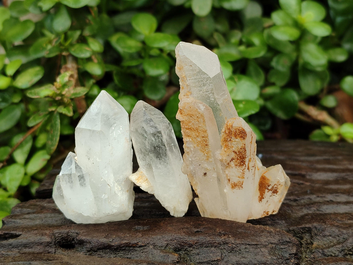 Natural Clear Quartz Crystals x 16 From Madagascar