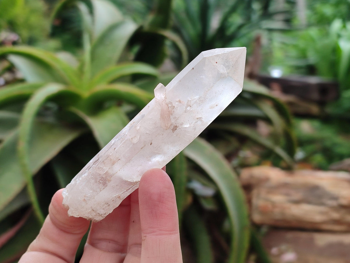 Natural Clear Quartz Crystals x 16 From Madagascar