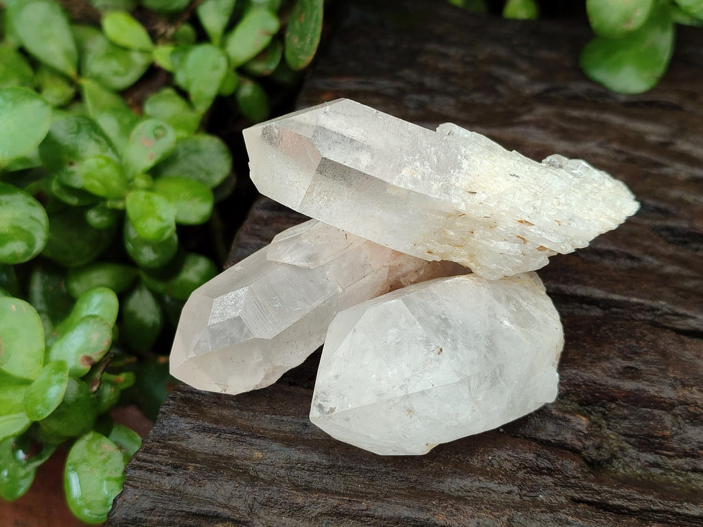 Natural Clear Quartz Crystals x 16 From Madagascar - Toprock Gemstones and Minerals 
