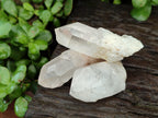 Natural Clear Quartz Crystals x 16 From Madagascar - Toprock Gemstones and Minerals 