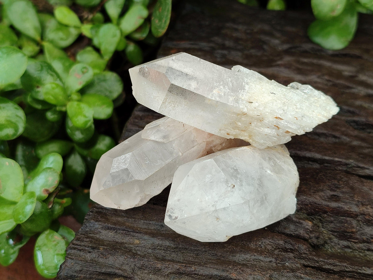 Natural Clear Quartz Crystals x 16 From Madagascar