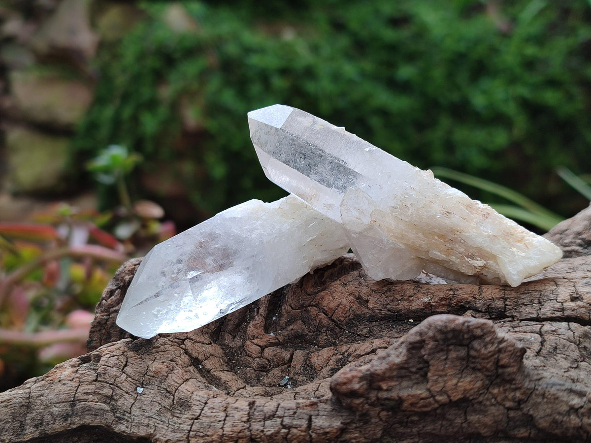 Natural Clear Quartz Crystals x 16 From Madagascar