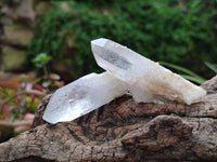 Natural Clear Quartz Crystals x 16 From Madagascar