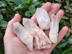Natural Clear Quartz Crystals x 16 From Madagascar - Toprock Gemstones and Minerals 