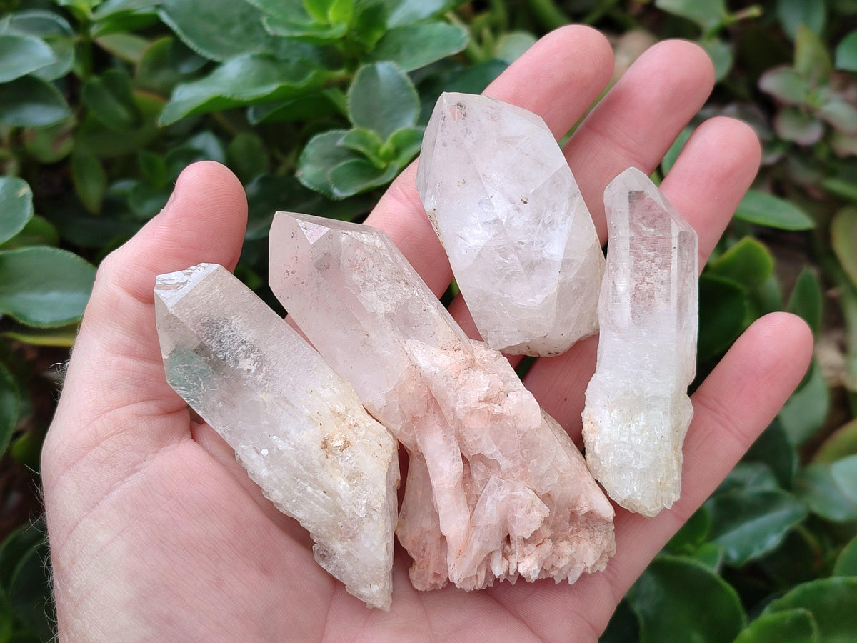 Natural Clear Quartz Crystals x 16 From Madagascar