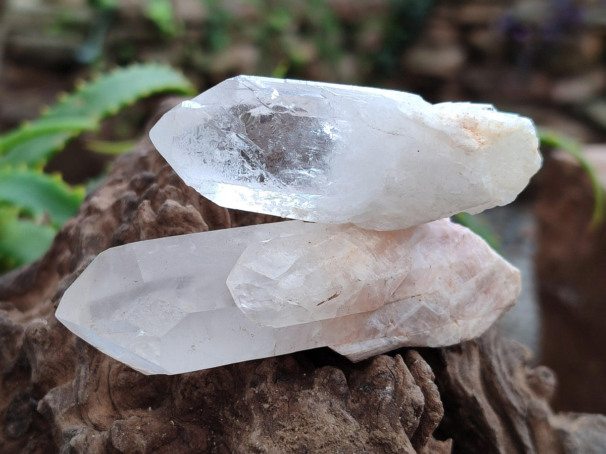 Natural Clear Quartz Crystals x 16 From Madagascar