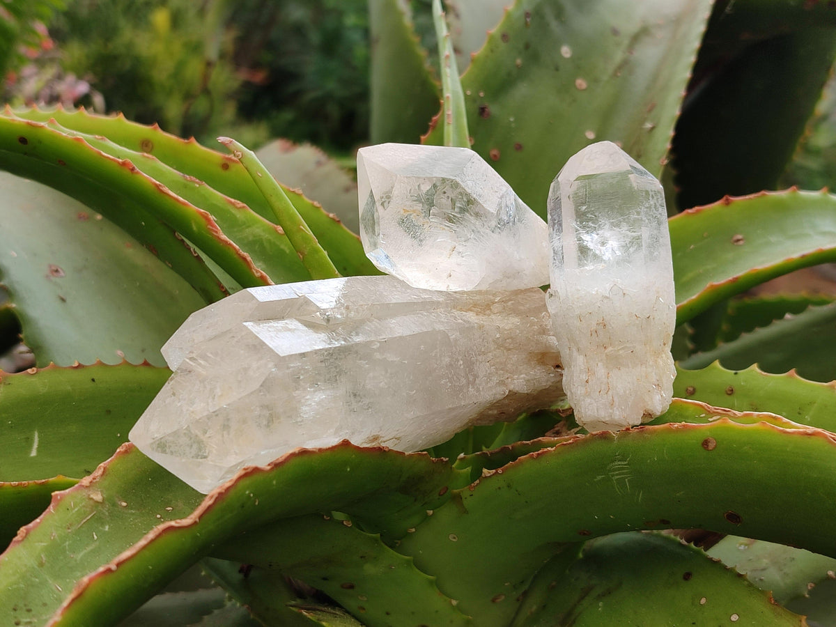 Natural Clear Quartz Crystals x 16 From Madagascar