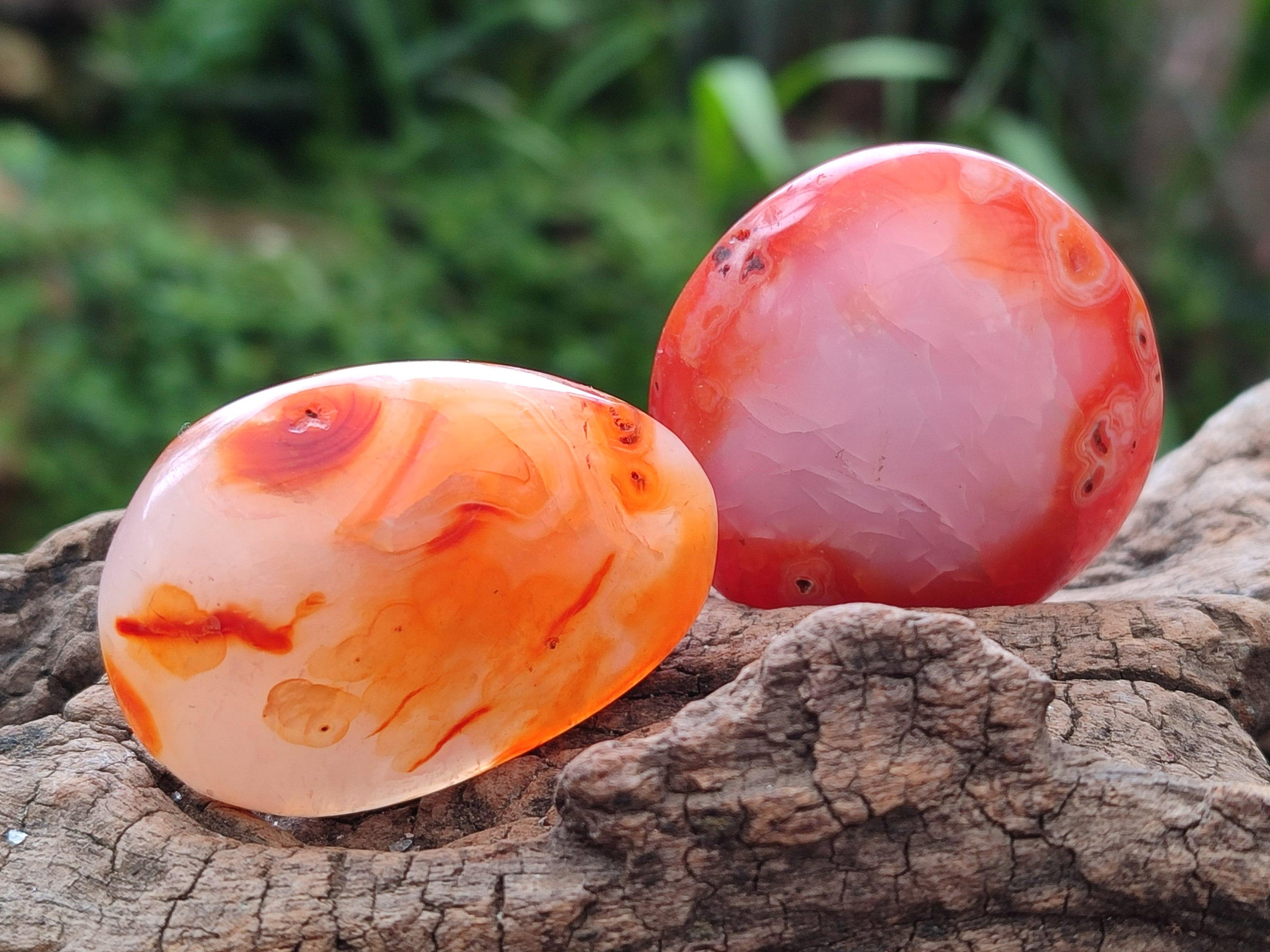 Polished Carnelian Agate Gemstone Galets x 20 From Madagascar