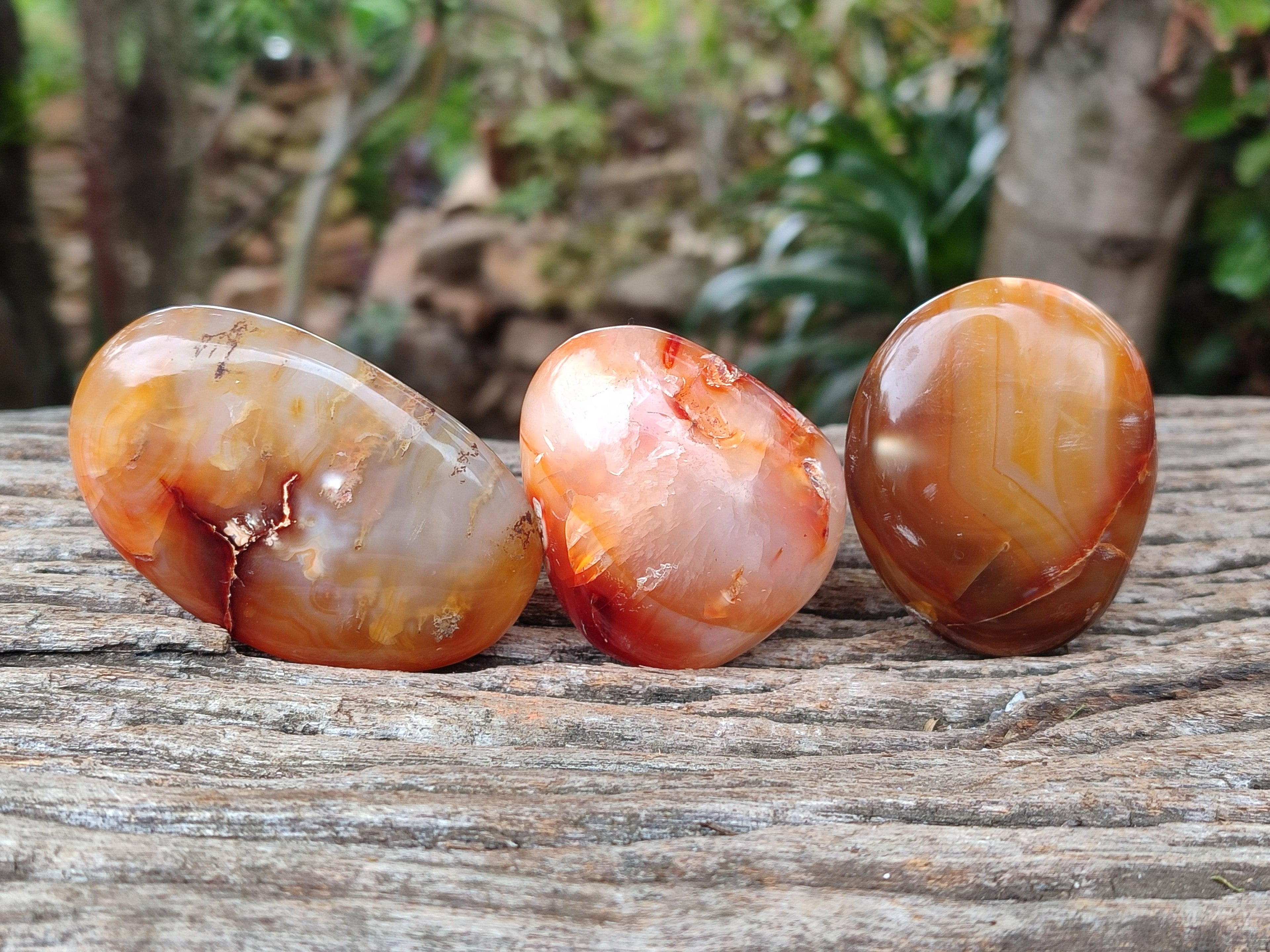 Polished Carnelian Agate Gemstone Galets x 20 From Madagascar