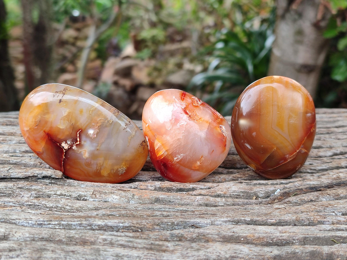 Polished Carnelian Agate Gemstone Galets x 20 From Madagascar