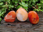 Polished Carnelian Agate Gemstone Galets x 20 From Madagascar