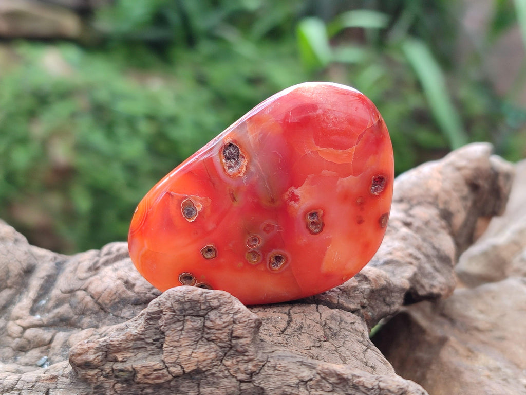 Polished Carnelian Agate Gemstone Galets x 20 From Madagascar
