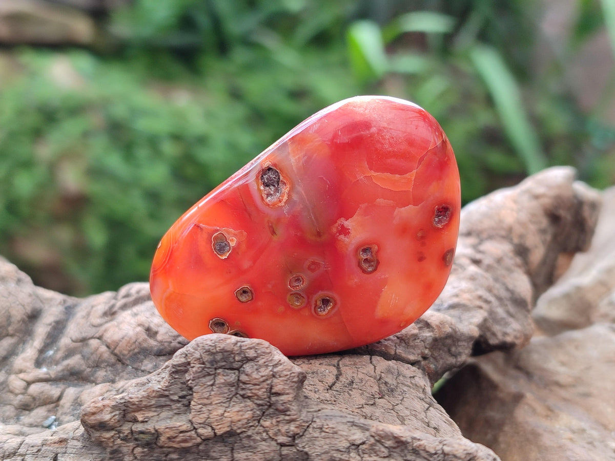 Polished Carnelian Agate Gemstone Galets x 20 From Madagascar