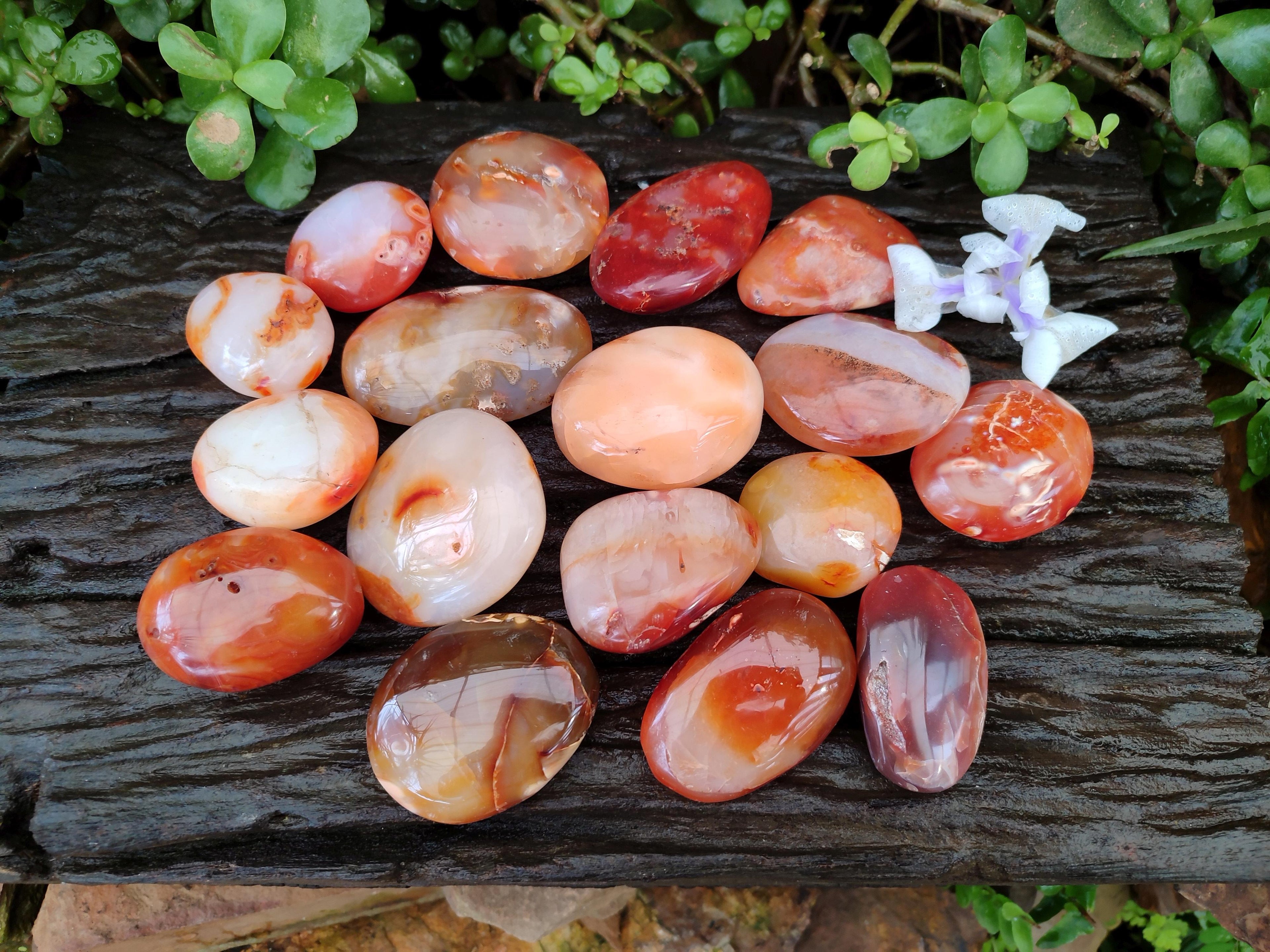 Polished Carnelian Agate Gemstone Galets x 20 From Madagascar