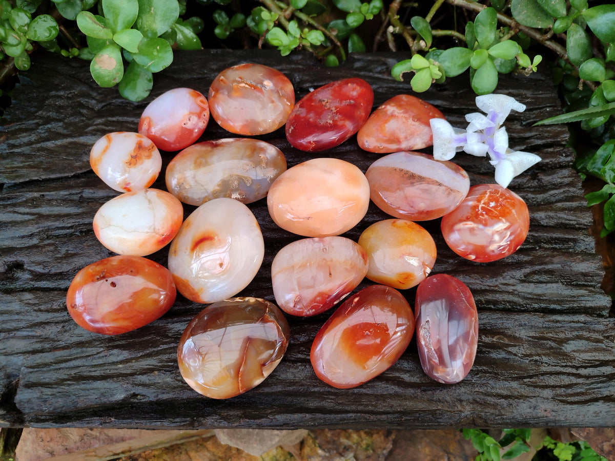Polished Carnelian Agate Gemstone Galets x 20 From Madagascar