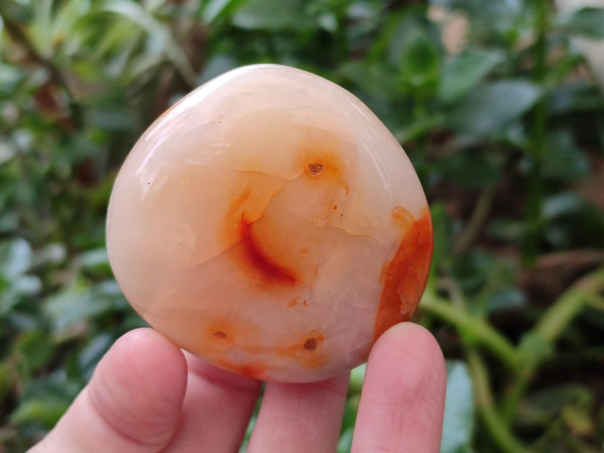 Polished Carnelian Agate Gemstone Galets x 20 From Madagascar