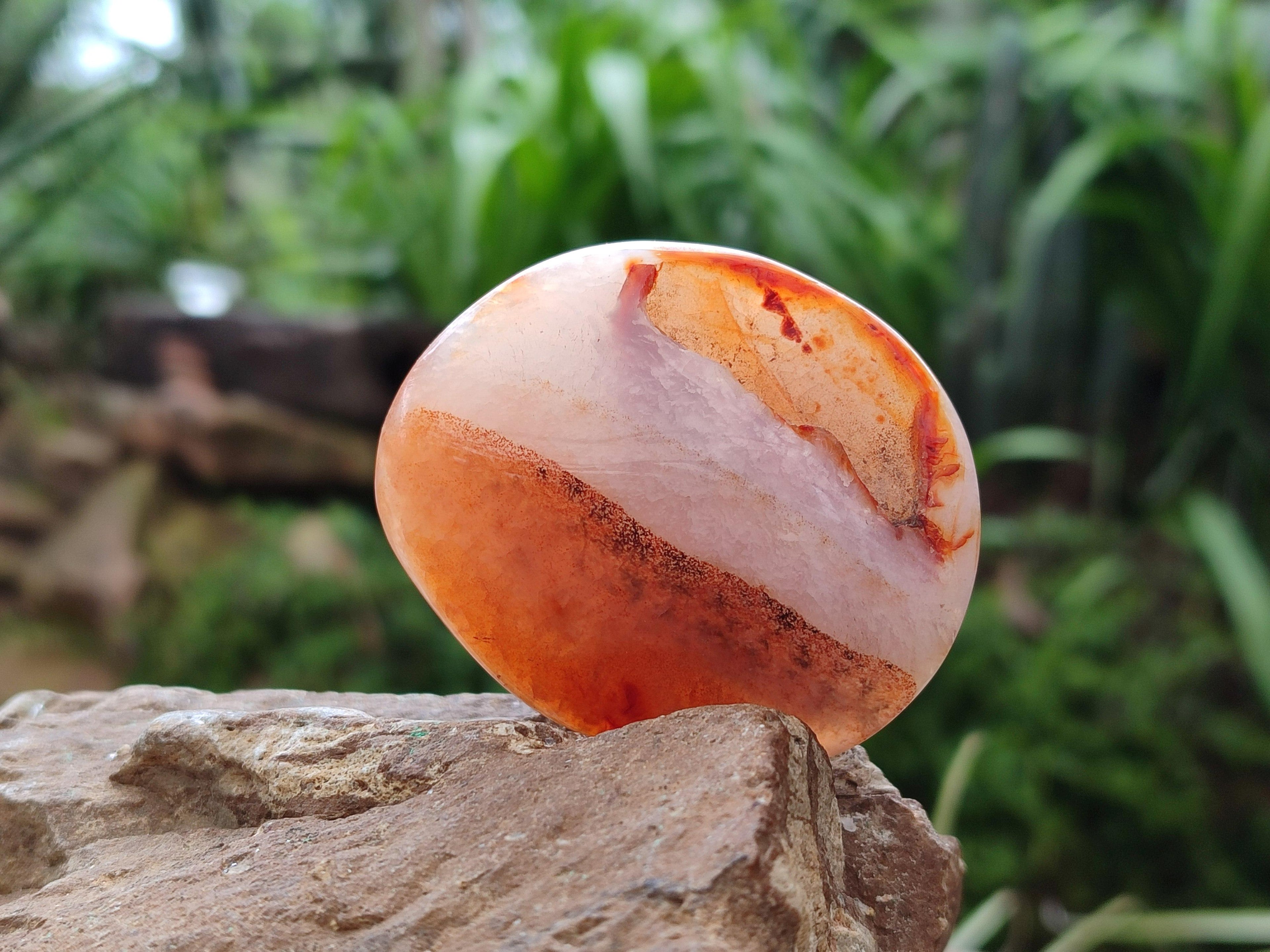 Polished Carnelian Agate Gemstone Galets x 20 From Madagascar