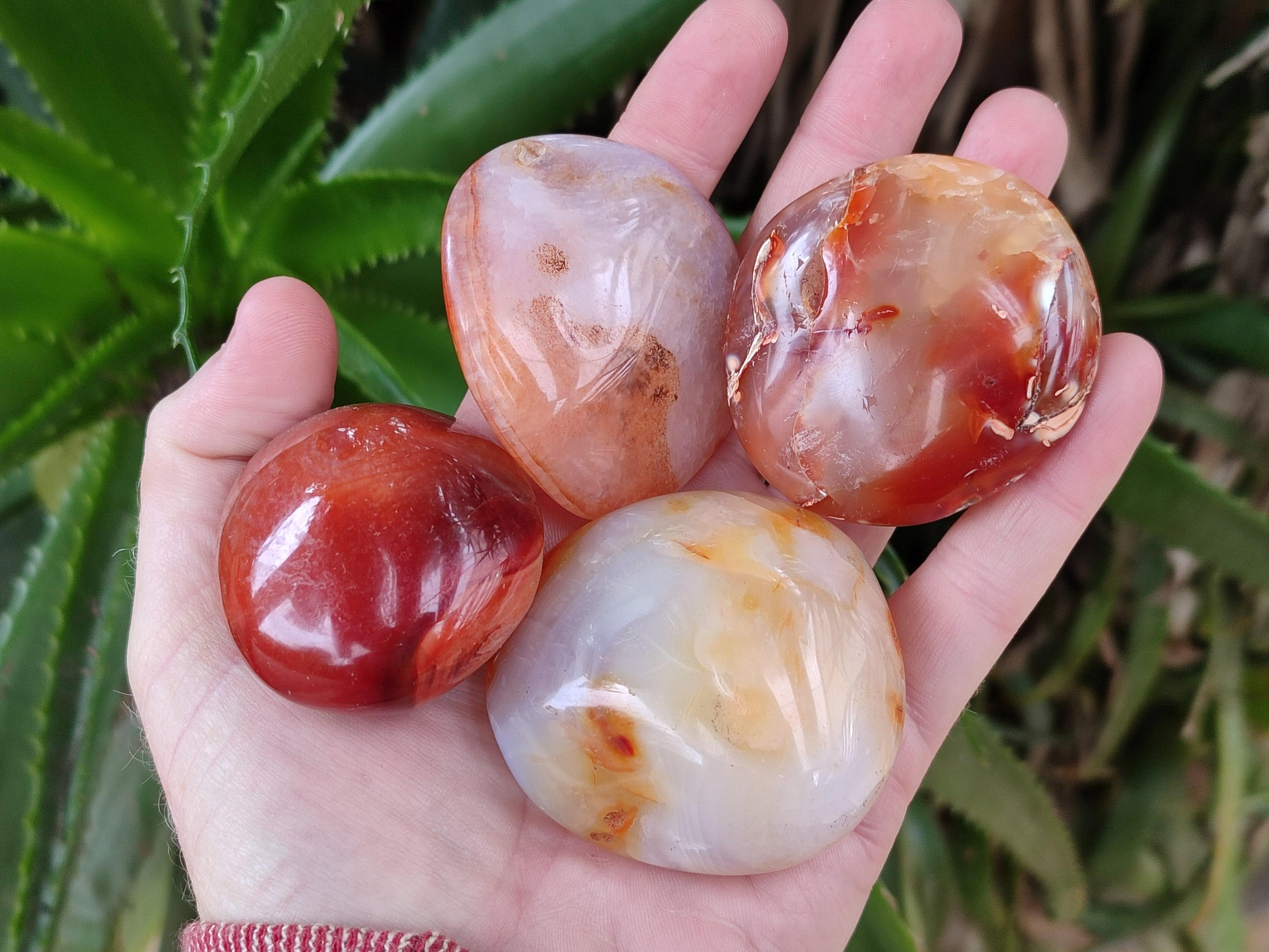 Polished Carnelian Agate Gemstone Galets x 20 From Madagascar