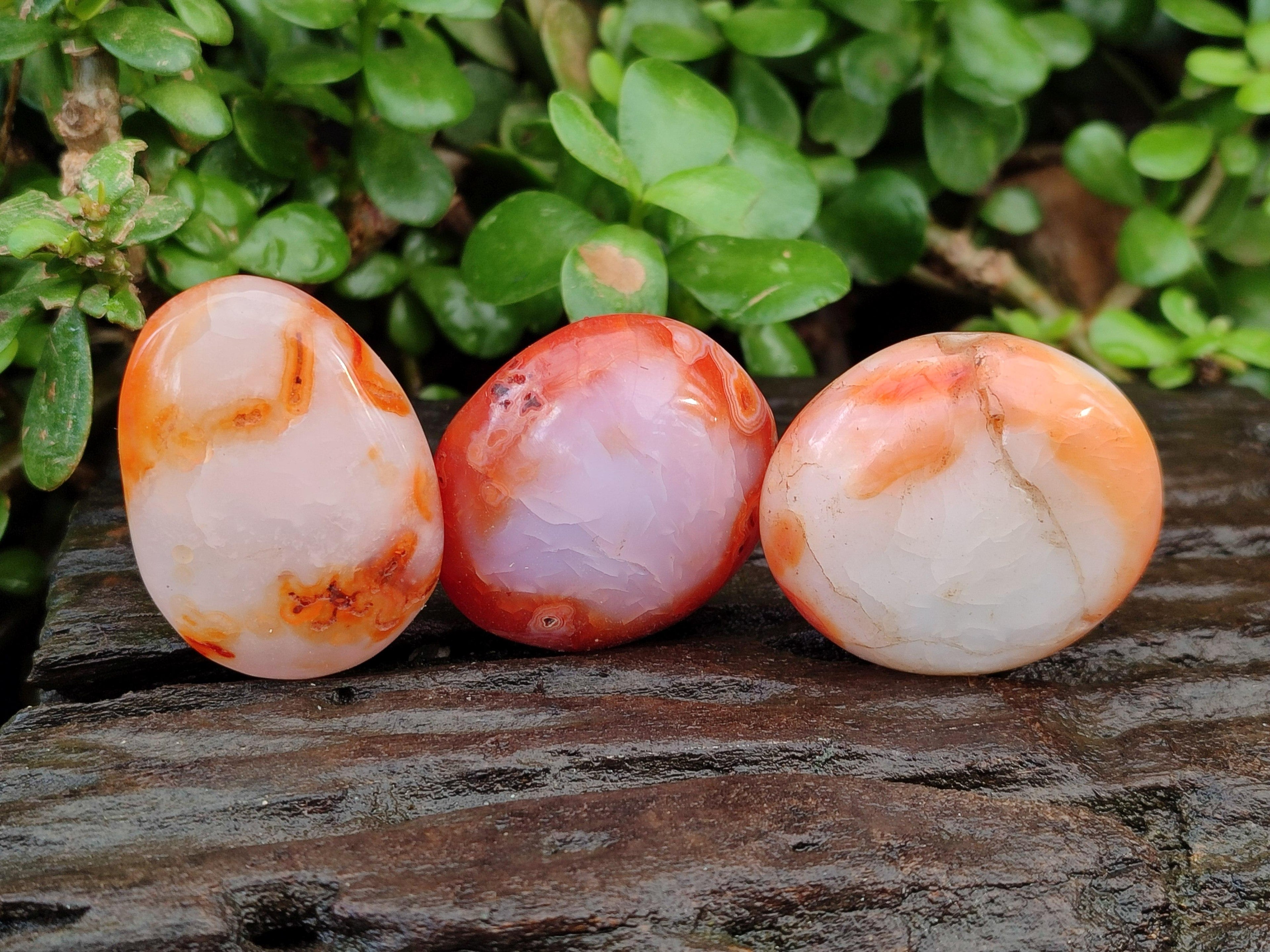 Polished Carnelian Agate Gemstone Galets x 20 From Madagascar